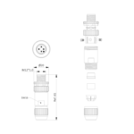 M12 A-Code Sensor/Actuator Cable Series | Molded Lines & Field Wireable Connectors